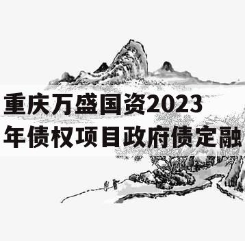 重庆万盛国资2023年债权项目政府债定融