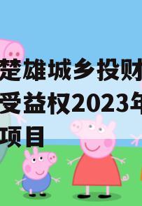 云南楚雄城乡投财产权信托受益权2023年转让项目