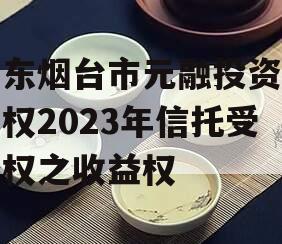 山东烟台市元融投资财产权2023年信托受益权之收益权