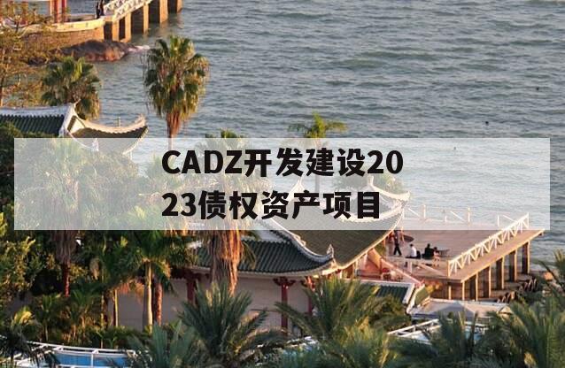 CADZ开发建设2023债权资产项目