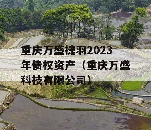 重庆万盛捷羽2023年债权资产（重庆万盛科技有限公司）