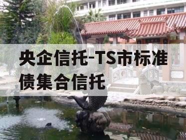 央企信托-TS市标准债集合信托