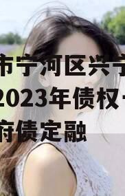 天津市宁河区兴宁建设投资2023年债权一号政府债定融