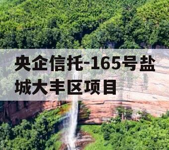 央企信托-165号盐城大丰区项目