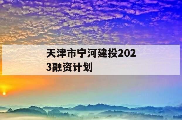 天津市宁河建投2023融资计划