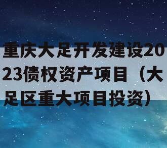 重庆大足开发建设2023债权资产项目（大足区重大项目投资）