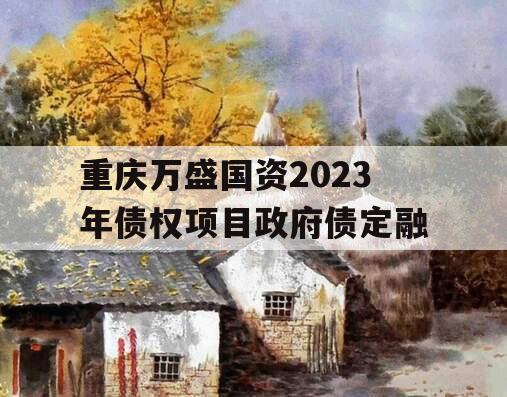 重庆万盛国资2023年债权项目政府债定融