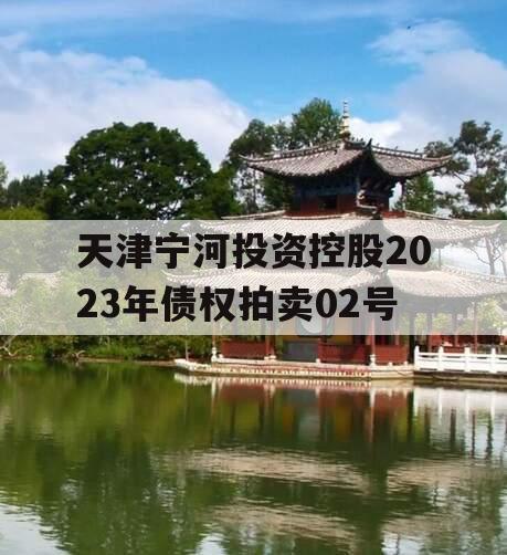 天津宁河投资控股2023年债权拍卖02号