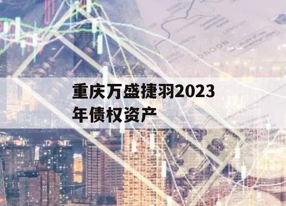 重庆万盛捷羽2023年债权资产