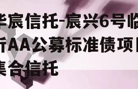 华宸信托-宸兴6号临沂AA公募标准债项目集合信托