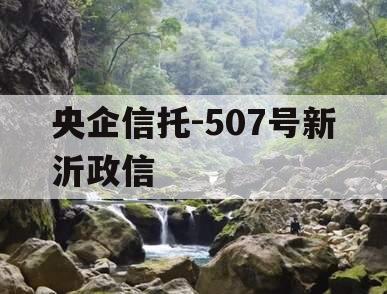 央企信托-507号新沂政信