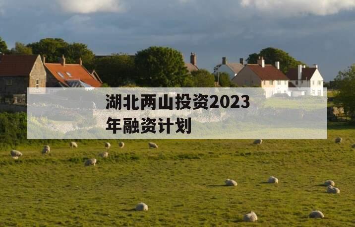 湖北两山投资2023年融资计划