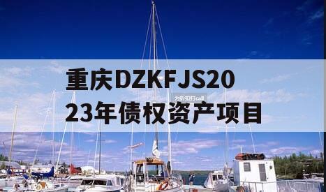 重庆DZKFJS2023年债权资产项目