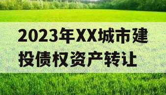 2023年XX城市建投债权资产转让