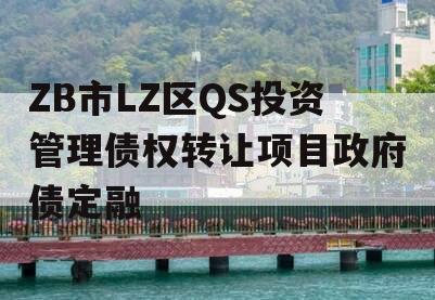 ZB市LZ区QS投资管理债权转让项目政府债定融