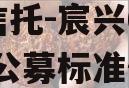 华宸信托-宸兴6号临沂AA公募标准债项目