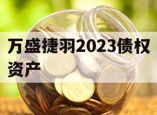 万盛捷羽2023债权资产