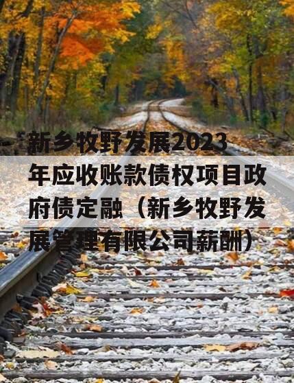 新乡牧野发展2023年应收账款债权项目政府债定融（新乡牧野发展管理有限公司薪酬）