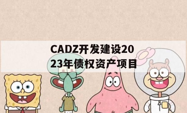 CADZ开发建设2023年债权资产项目