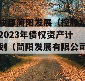 成都简阳发展（控股）2023年债权资产计划（简阳发展有限公司）