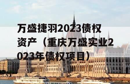 万盛捷羽2023债权资产（重庆万盛实业2023年债权项目）