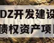 CADZ开发建设2023债权资产项目