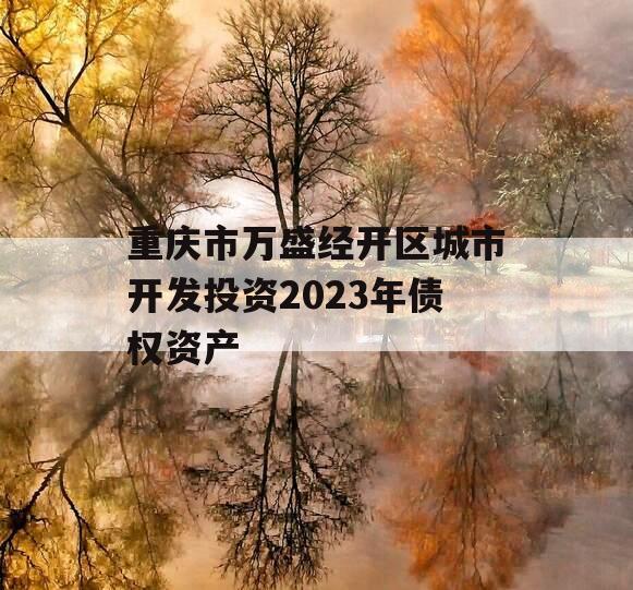 重庆市万盛经开区城市开发投资2023年债权资产