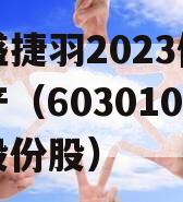 万盛捷羽2023债权资产（603010万盛股份股）