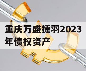 重庆万盛捷羽2023年债权资产