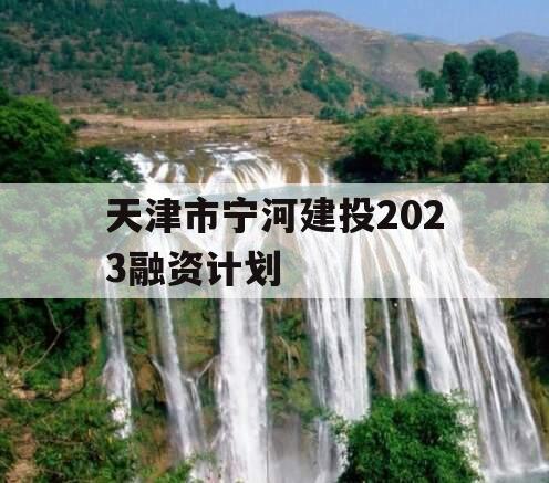 天津市宁河建投2023融资计划