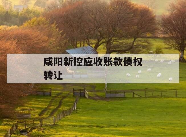 咸阳新控应收账款债权转让