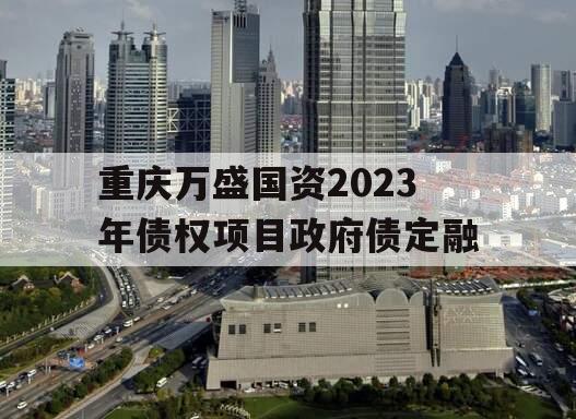 重庆万盛国资2023年债权项目政府债定融