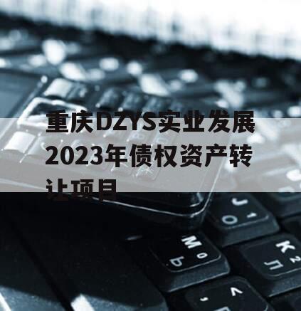 重庆DZYS实业发展2023年债权资产转让项目