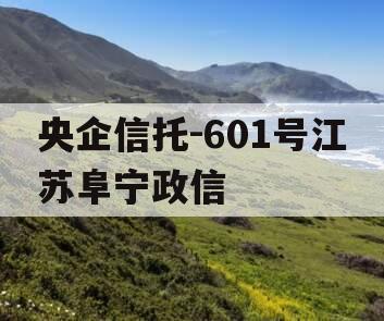 央企信托-601号江苏阜宁政信