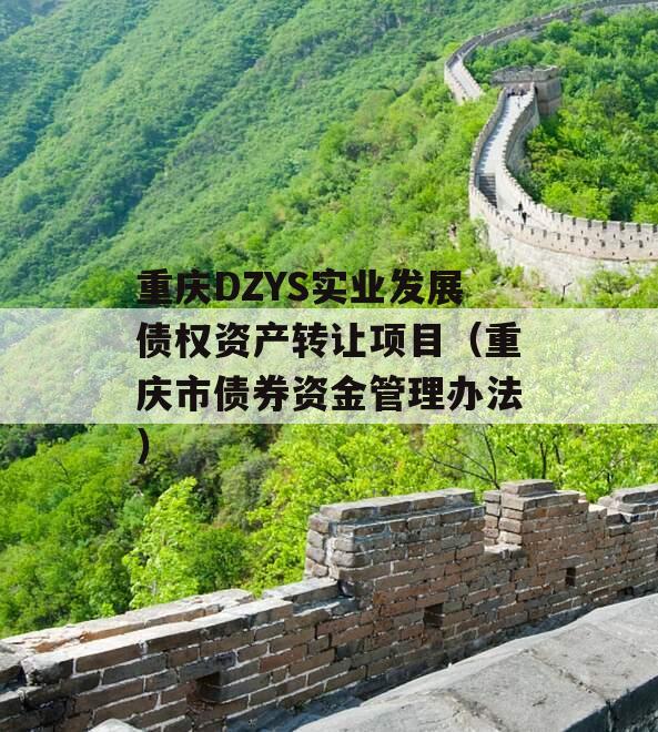 重庆DZYS实业发展债权资产转让项目（重庆市债券资金管理办法）