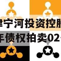 天津宁河投资控股2023年债权拍卖02号