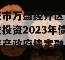 重庆市万盛经开区城市开发投资2023年债权资产政府债定融