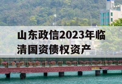 山东政信2023年临清国资债权资产