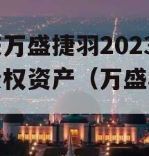 重庆万盛捷羽2023年债权资产（万盛机械）