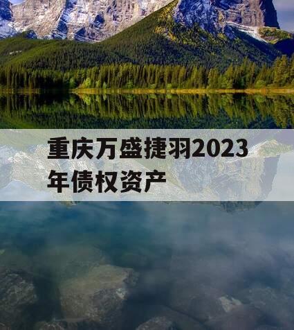 重庆万盛捷羽2023年债权资产