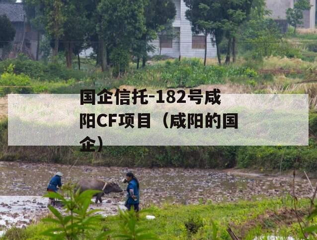 国企信托-182号咸阳CF项目（咸阳的国企）