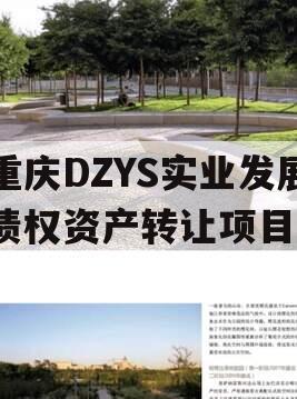 重庆DZYS实业发展债权资产转让项目