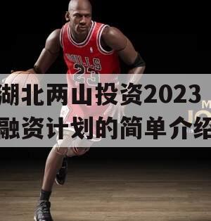 湖北两山投资2023融资计划的简单介绍