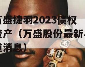 万盛捷羽2023债权资产（万盛股份最新小道消息）