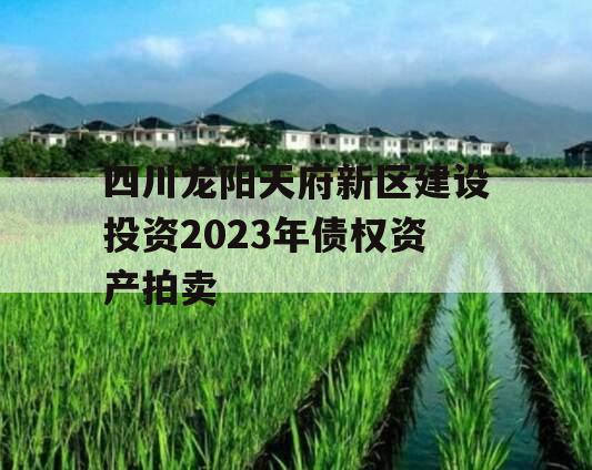 四川龙阳天府新区建设投资2023年债权资产拍卖