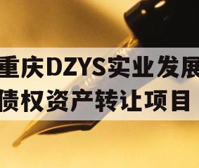 重庆DZYS实业发展债权资产转让项目