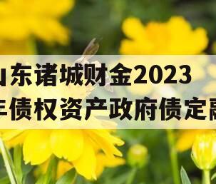 山东诸城财金2023年债权资产政府债定融