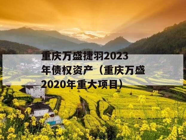 重庆万盛捷羽2023年债权资产（重庆万盛2020年重大项目）