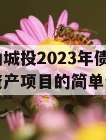 江油城投2023年债权资产项目的简单介绍