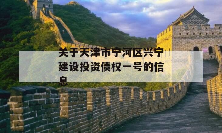 关于天津市宁河区兴宁建设投资债权一号的信息